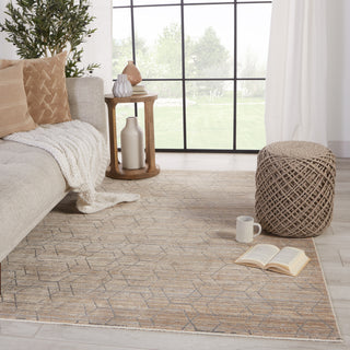 Jaipur Living Vienne Cavendish VNE12 Tan/Gray Area Rug Lifestyle Image Feature