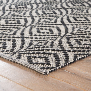 Jaipur Living Waveny Flume WAV01 Black/Cream Area Rug