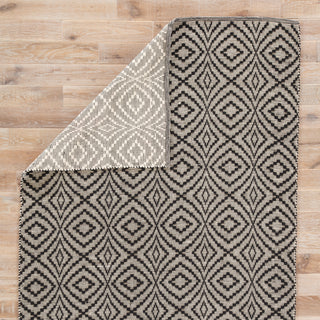 Jaipur Living Waveny Flume WAV01 Black/Cream Area Rug