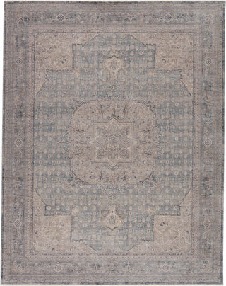 Jaipur Living Winsome Epsilon WNO01 Blue/Gray Area Rug - Top Down