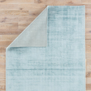 Jaipur Living Yasmin YAS09 Blue Area Rug