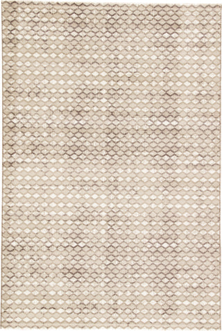 Jaipur Living Zane Block Out ZAN05 Gray Area Rug