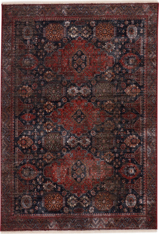 Jaipur Living Zefira Razia ZFA12 Navy/Red Area Rug - Top Down