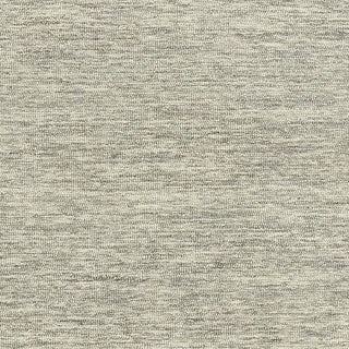 Momeni James JAM-1 Light Grey Area Rug Swatch Image