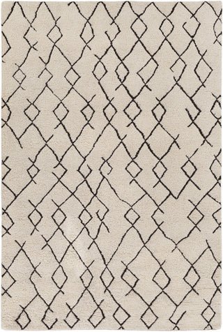 Javier JAV-1001 White Area Rug by Surya 6' X 9'