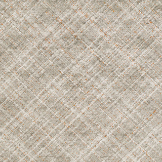 Surya Jax JAX-5007 Light Gray Area Rug Sample Swatch