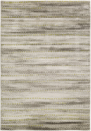 Surya Jax JAX-5008 Light Gray Area Rug main image