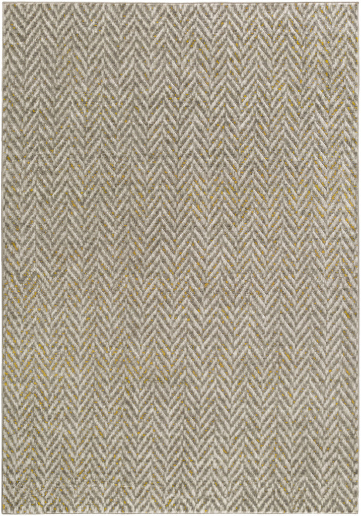 Surya Jax JAX-5015 Light Gray Area Rug main image