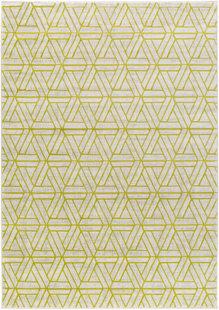 Surya Jax JAX-5029 Area Rug 5'2'' x 7'6''