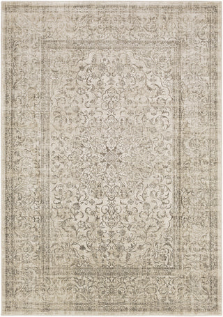 Surya Jax JAX-5039 Brown/Neutral Area Rug main image