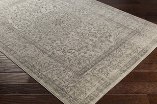 Surya Jax JAX-5039 Brown/Neutral Area Rug Closeup