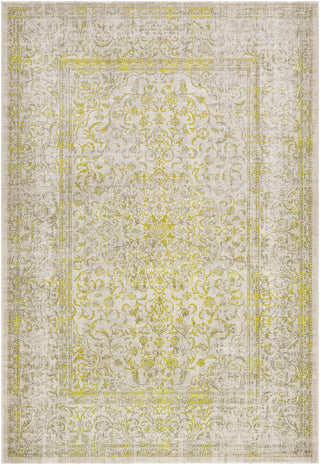 Surya Jax JAX-5042 Green/Brown Area Rug main image