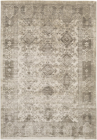 Surya Jax JAX-5048 Brown/Neutral Area Rug main image