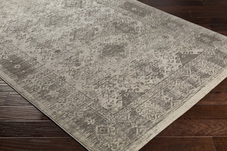 Surya Jax JAX-5048 Brown/Neutral Area Rug Closeup