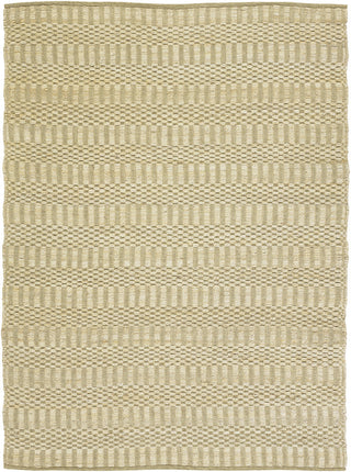 Chandra Jazz JAZ-17000 Natural Area Rug main image