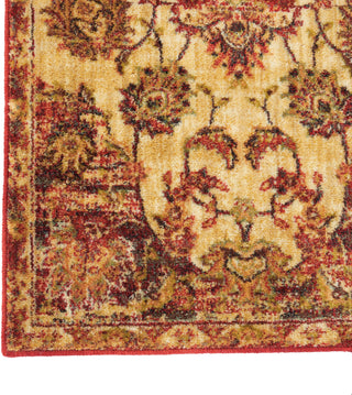 Nourison Jewel JEL01 Cream/Red Area Rug