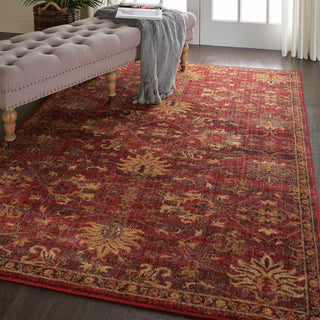 Nourison Jewel JEL02 Brick Area Rug