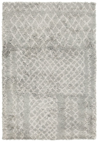 Chandra Jeri JER-44302 Grey Area Rug main image