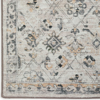 Dalyn Jericho JC8 Mink Area Rug Closeup Image