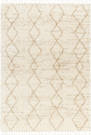 Surya Jakarta JKT-2302 Area Rug main image