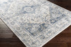 Livabliss Jolie JLO-2305 Area Rug