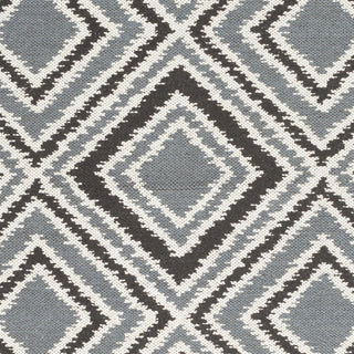 Surya Juniper JNP-5008 Ivory Hand Woven Area Rug Sample Swatch