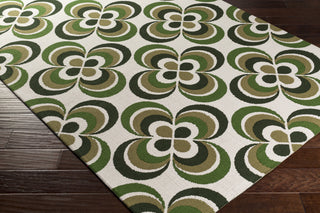 Artistic Weavers Joan Everston JOAN6081 Area Rug Corner Shot