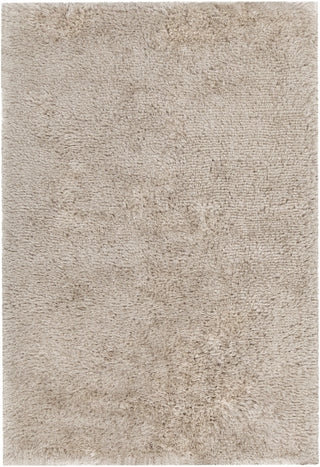 Chandra Joni JON-39301 Sand Area Rug main image