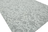 Kalaty Jardin JR-636 Hazy Platinum Area Rug Main Image
