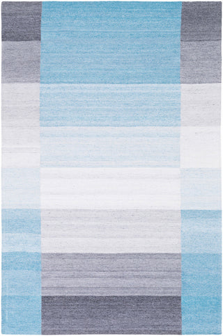 Surya Josef JSF-1001 Blue/Grey Area Rug main image