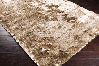 Surya Jasper JSP-8004 Mocha Hand Woven Area Rug 5x8 Corner