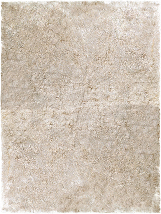 Surya Jasper JSP-8005 Light Gray Area Rug 8' x 11'