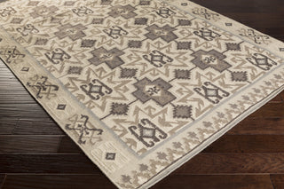 Surya Jewel Tone Ii JTII-2060 Beige Hand Woven Area Rug 5x8 Corner