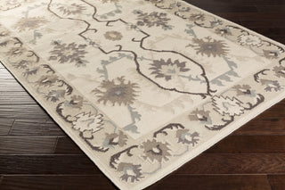 Surya Jewel Tone II JTII-2063 Area Rug
