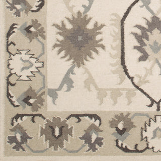 Surya Jewel Tone Ii JTII-2063 Ivory Hand Woven Area Rug Sample Swatch