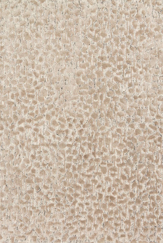 Loloi Juneau JY-02 Ash / Taupe Area Rug main image