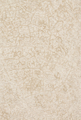 Loloi Juneau JY-03 Ant Ivory / Beige Area Rug main image