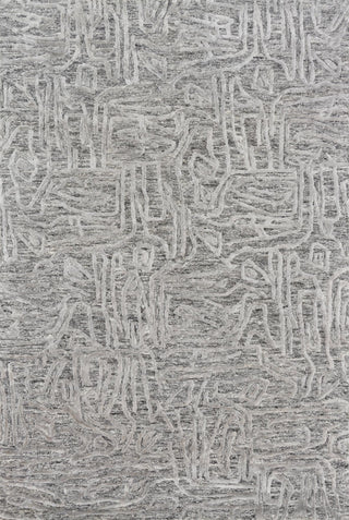 Loloi Juneau JY-06 Grey/Grey Area Rug Main Image