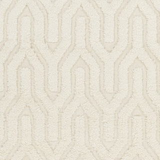 Surya Kabru KAB-8006 Ivory Hand Woven Area Rug Sample Swatch