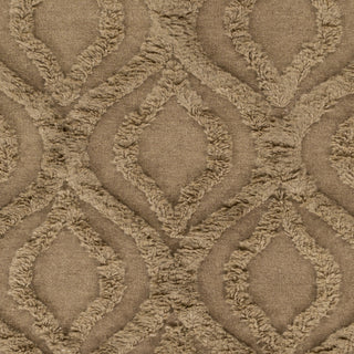 Surya Kabru KAB-8014 Mocha Hand Woven Area Rug Sample Swatch