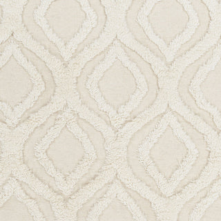 Surya Kabru KAB-8015 Ivory Hand Woven Area Rug Sample Swatch