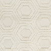 Surya Kabru KAB-8017 Ivory Hand Woven Area Rug Sample Swatch