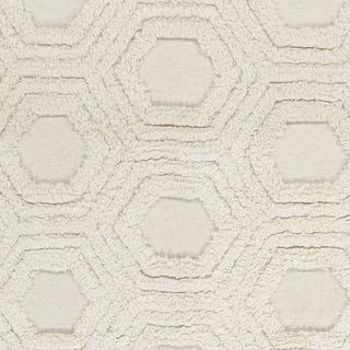 Surya Kabru KAB-8017 Ivory Hand Woven Area Rug Sample Swatch