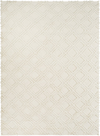 Surya Kabru KAB-8018 Ivory Area Rug 8' x 11'