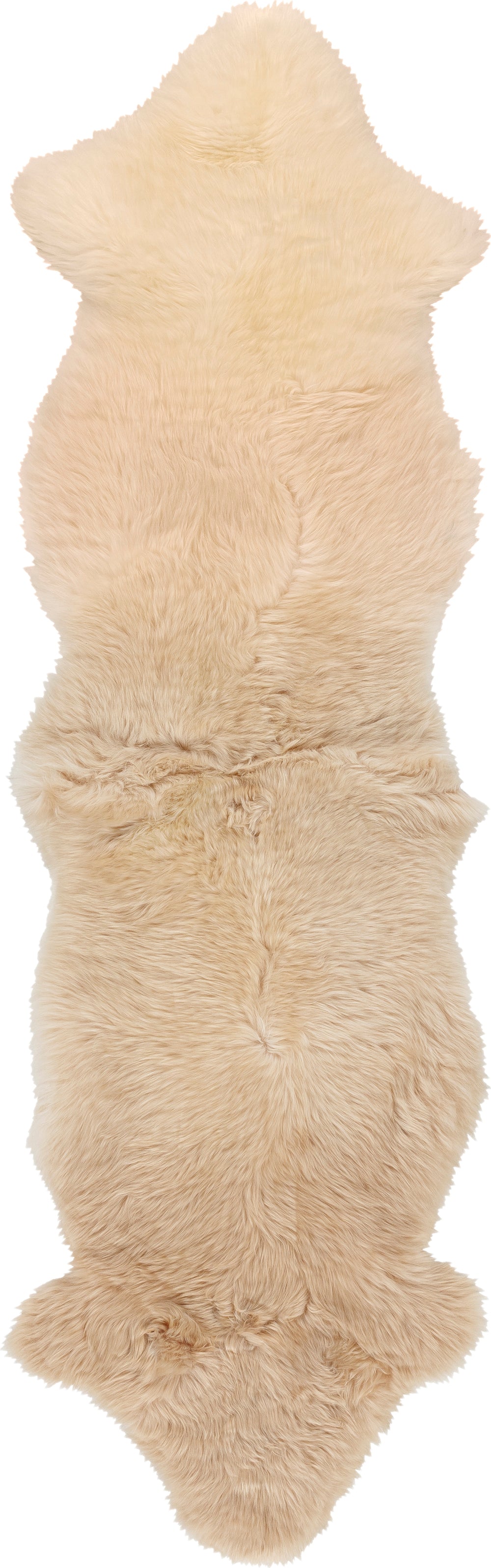 Livabliss Kapuni KAP-2303 Area Rug