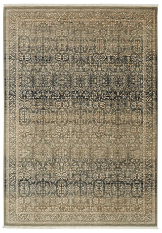 Karastan Titanium Verta Gray Area Rug main image