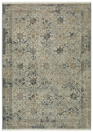 Karastan Titanium Esperance Seaglass Area Rug main image