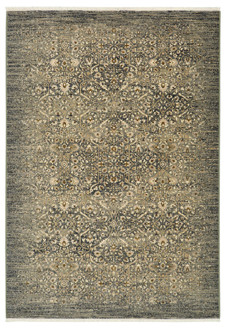 Karastan Titanium Andeols Slate Area Rug main image