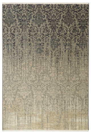 Karastan Titanium Tiberio Gray Area Rug main image