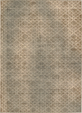 Karastan Titanium Ravello Grey Area Rug main image